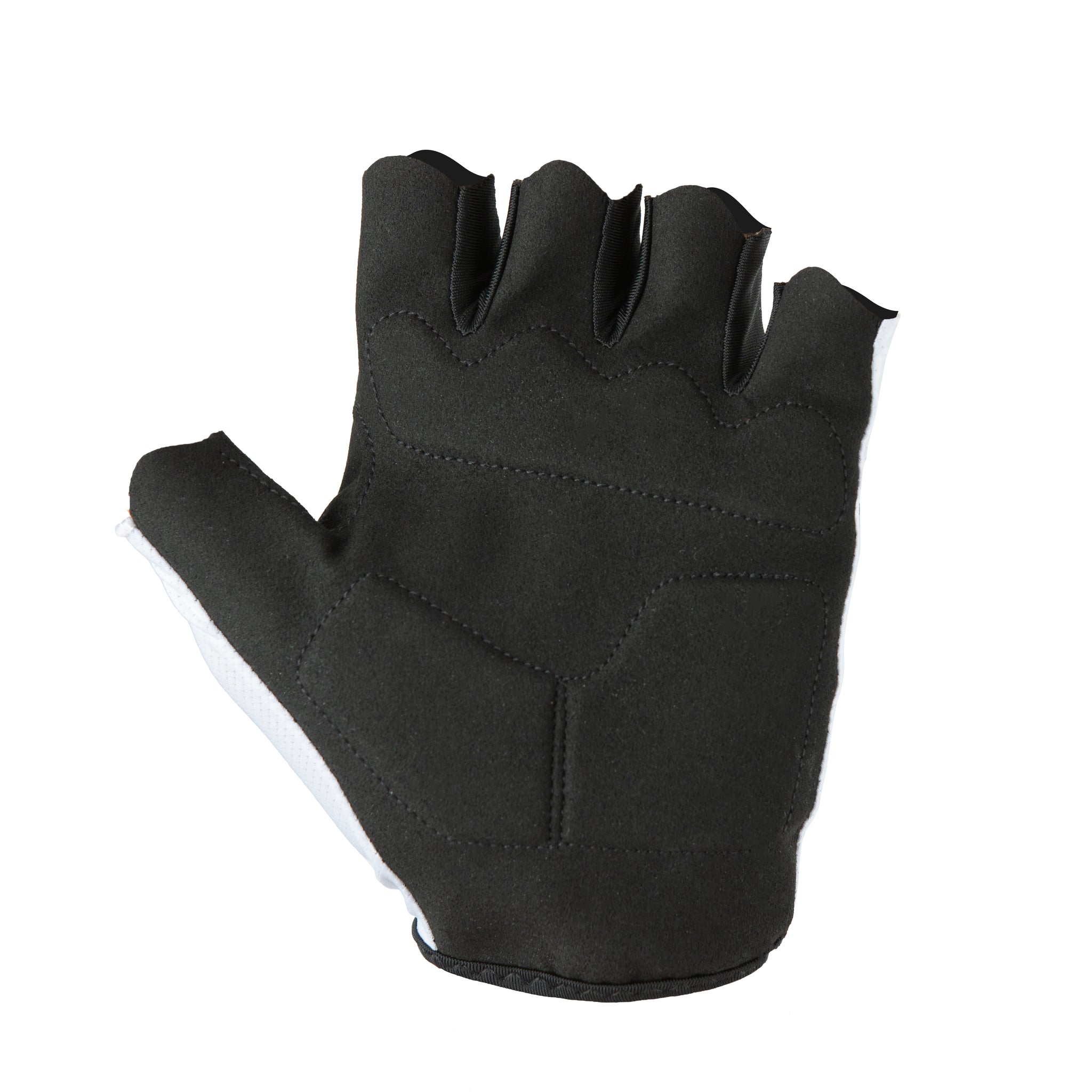 CORTO Glove